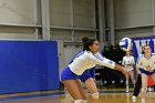 Volleyball vs Babson  Wheaton Women's Volleyball vs Babson College. - Photo by Keith Nordstrom : Wheaton, Volleyball, VB